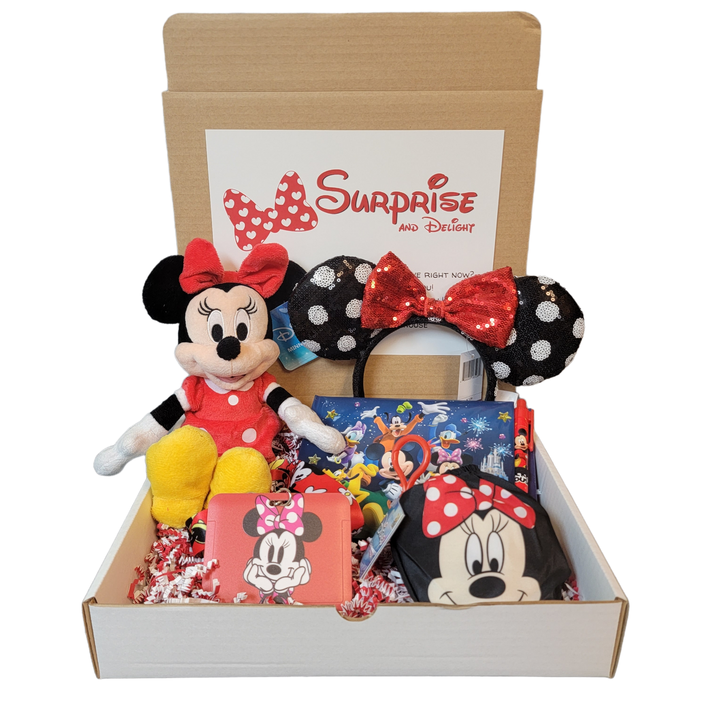 Surprise Minnie Mouse Box