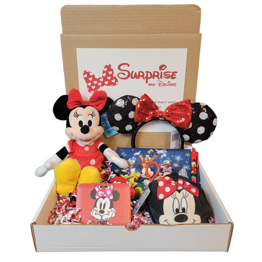 Surprise Minnie Mouse Box